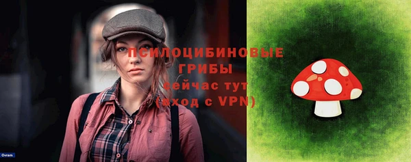трава Верея