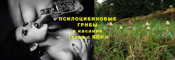 трава Верея