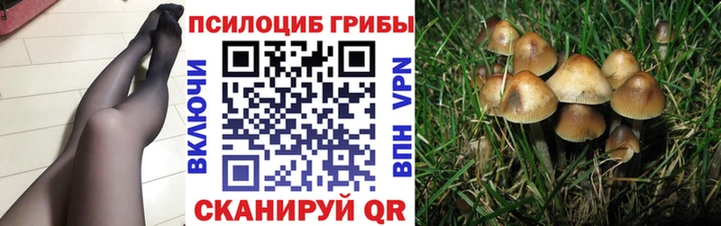 наркотики  Горбатов  Галлюциногенные грибы Cubensis 